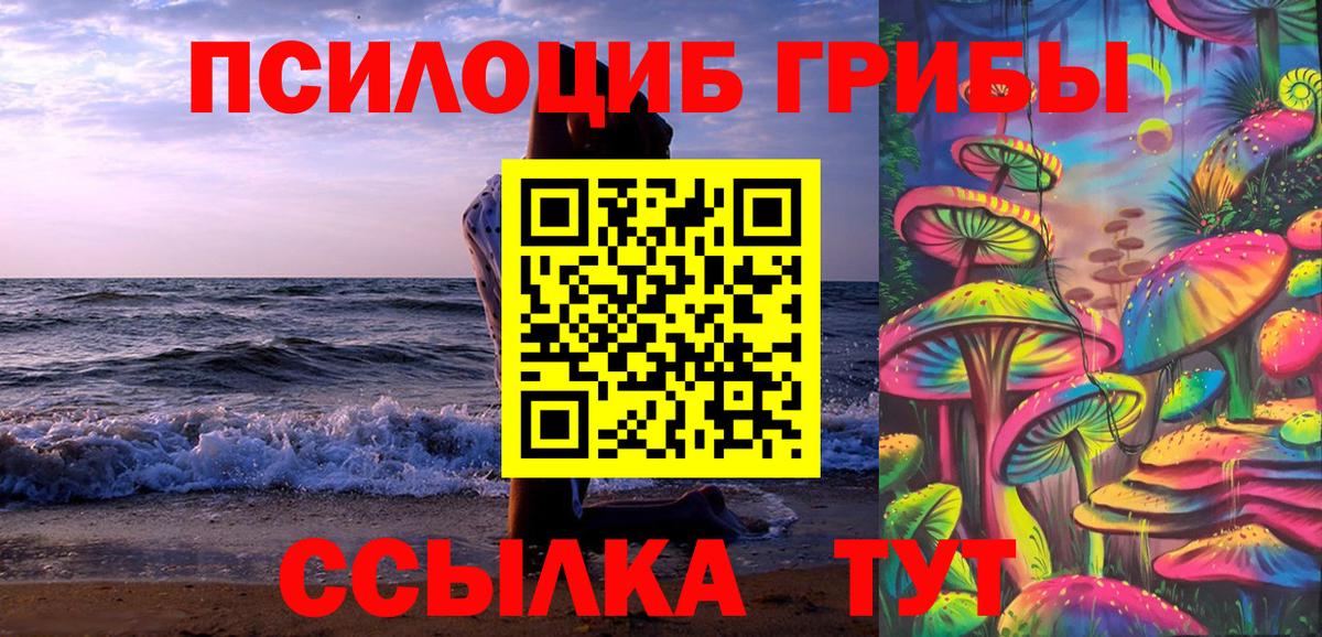 Псилоцибиновые грибы мицелий Ухта